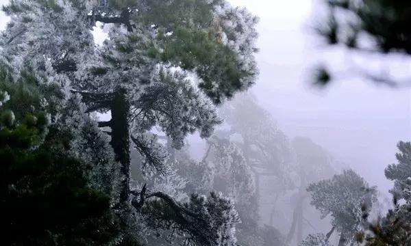 终结将至