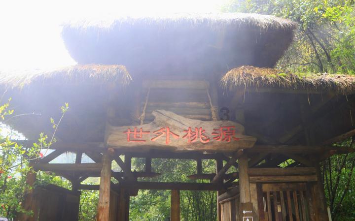 明星的爱情你最羡慕哪一对?游戏画面