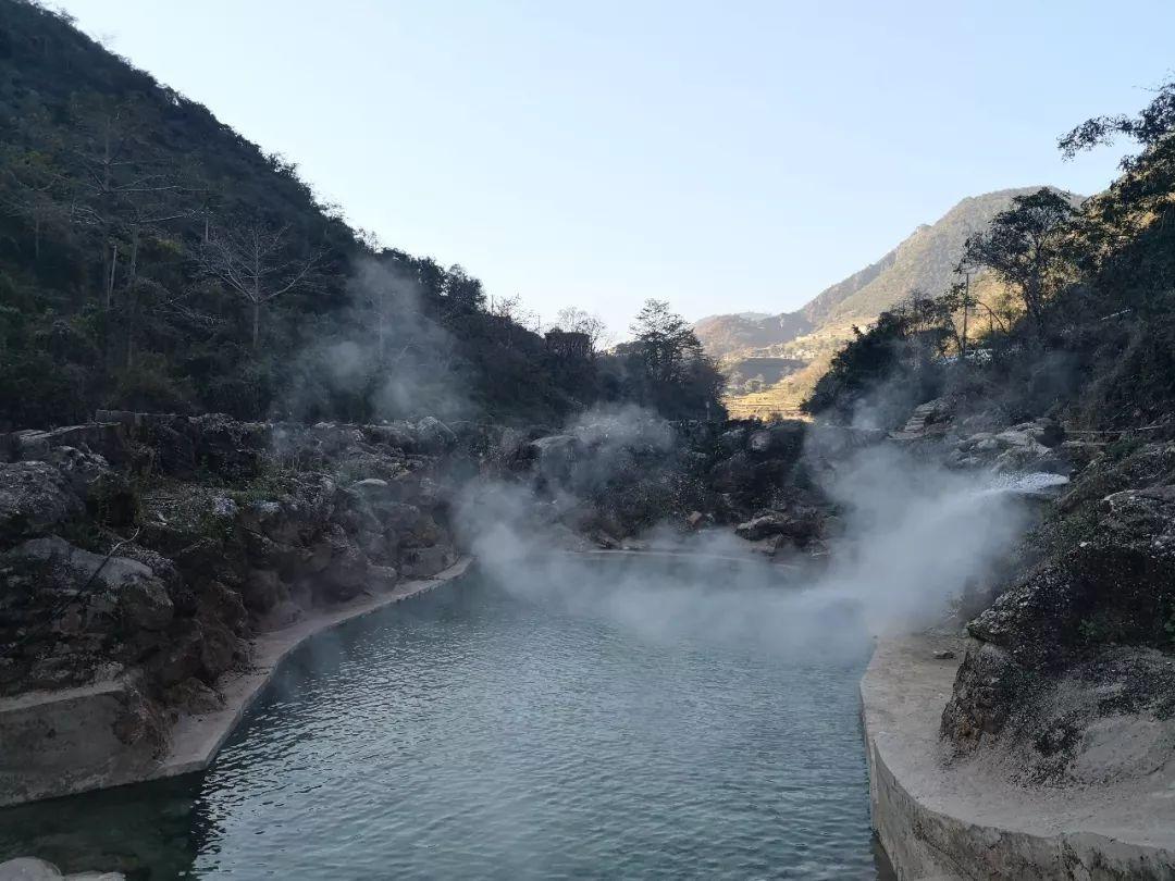 逃离未知丛林
