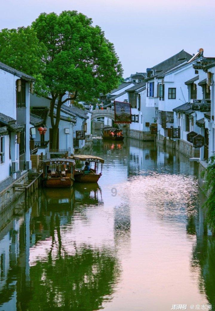 猫猫冒险团