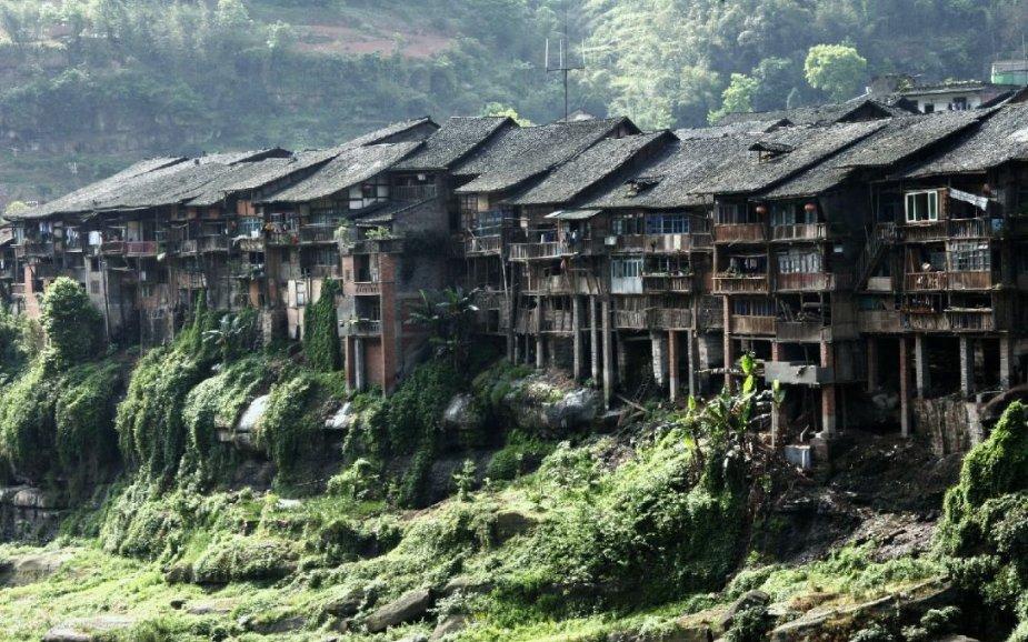 青海循化：生态向好 候鸟翩跹