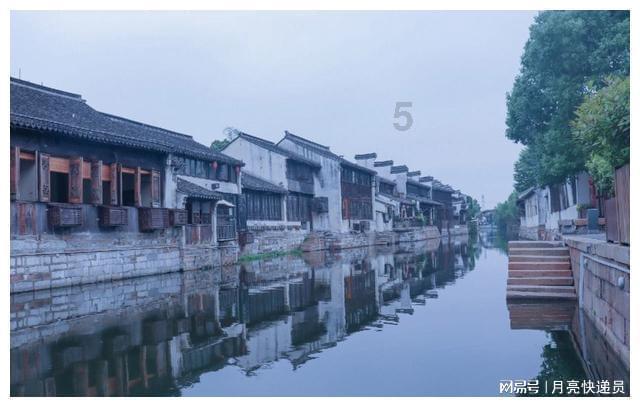 臧馨:为深圳城市形象传播插上“数字翅膀”